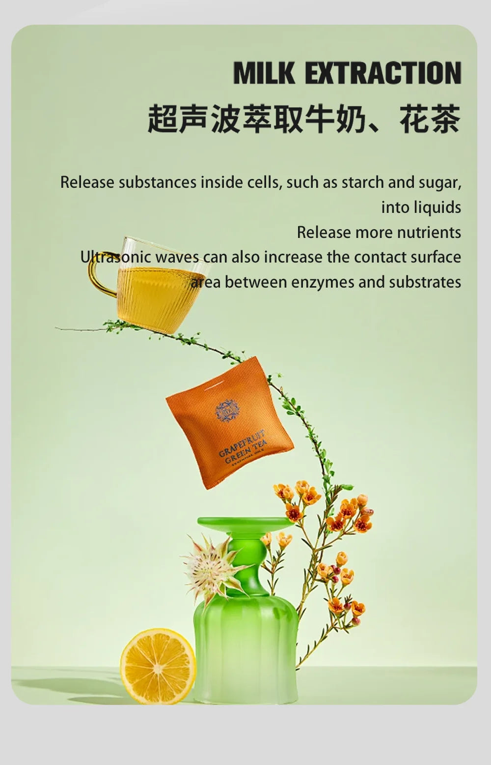 Ultrasonic Nutrition Extractor — Coffee, Flower Tea & Herbal Medicine Atmospheric Pressure Machine